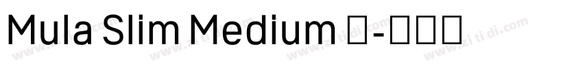 Mula Slim Medium 中字体转换